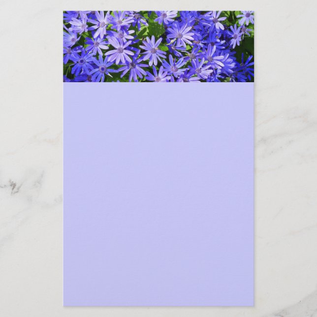 Blå Daisy-liknande blommor Natur-fotografi Brevpapper (Framsida)