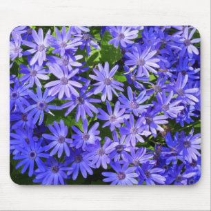 Blå Daisy-liknande blommor Natur-fotografi Musmatta