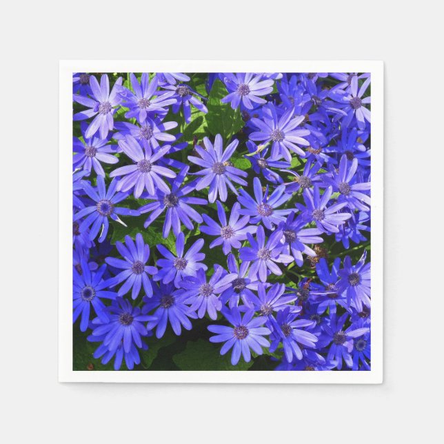 Blå Daisy-liknande blommor Natur-fotografi Pappersservett (Framsidan)