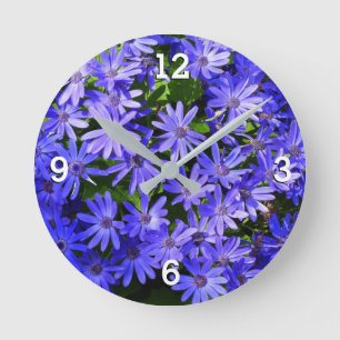 Blå Daisy-liknande blommor Natur-fotografi Rund Klocka