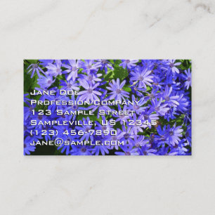 Blå Daisy-liknande blommor Natur-fotografi Visitkort