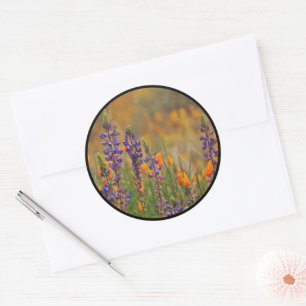 Blå deert Lupines Orange Poppies kuvertförseglinga Runt Klistermärke