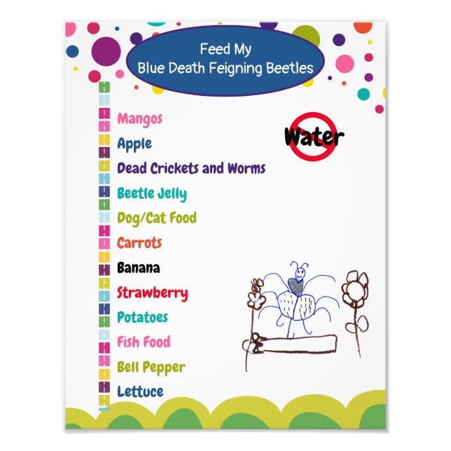 Blå döden Feigning Beetle Care Lakan Fototryck (Framsidan)