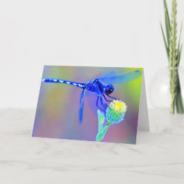 Blå Dragonfly Blank Inside Kort