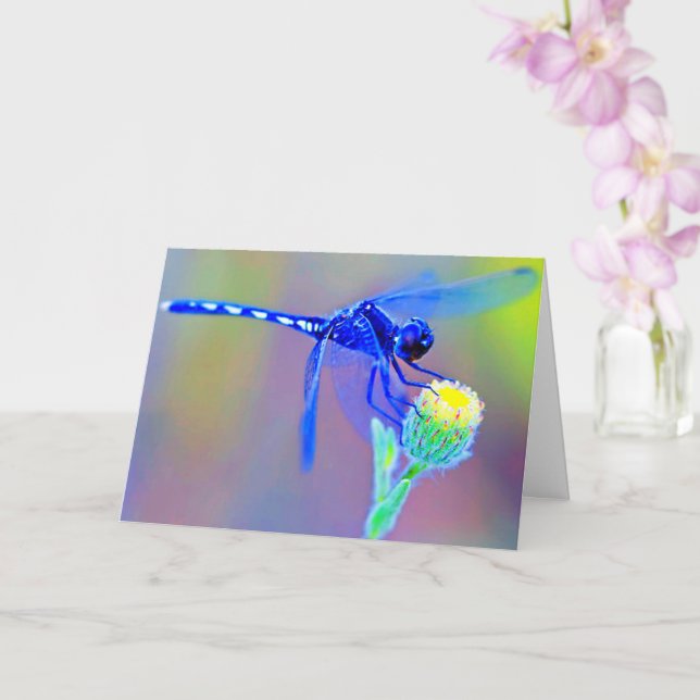 Blå Dragonfly Blank Inside Kort (Orkide)