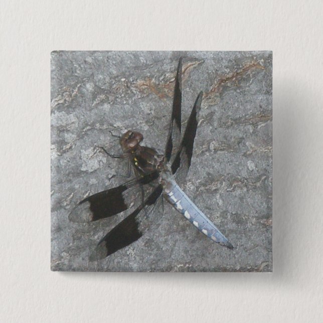 Blå Dragonfly-knapp Knapp (Framsida)