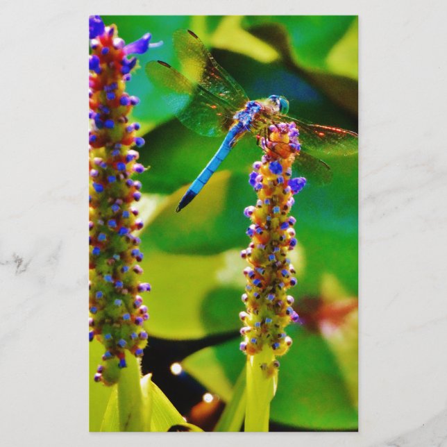 Blå Dragonfly och blommor Brevpapper (Framsida)