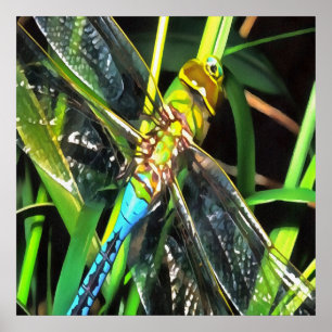 Blå Dragonfly Shimmering Vingar Painting Poster