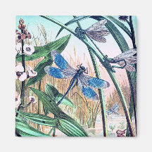 Blå Dragonfly vid dammens illustration av vintagen