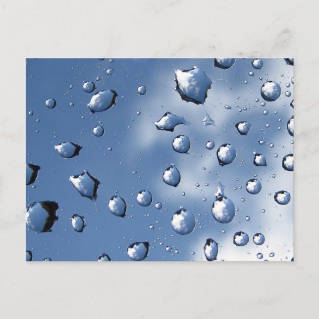 Blå drake Fibonacci Spiral Natature Vykort (Framsida)