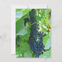 Blå druvor inbjudningar