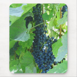 Blå druvor musmatta