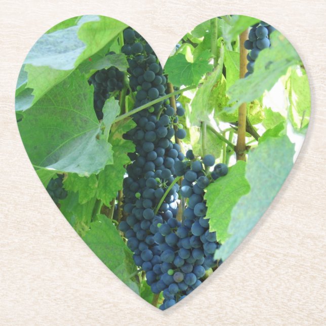 Blå druvor underlägg papper (Framsida)