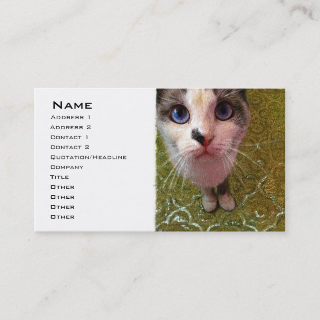 Blå Eyed Cat Business Card-mall Visitkort (Framsida)