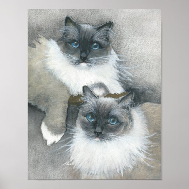 Blå Eyed Ragdoll Cat vattenfärg Poster (Framsidan)