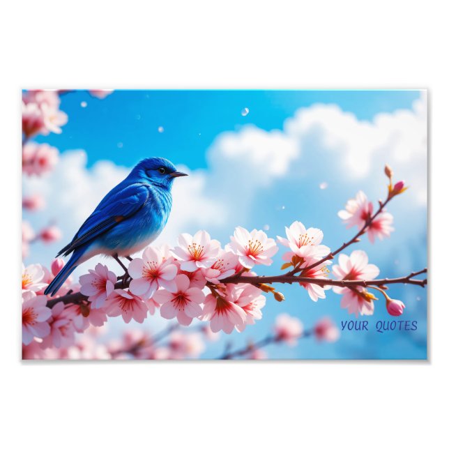 Blå Fågel på Körsbärsblomgren Fototryck (Framsidan)