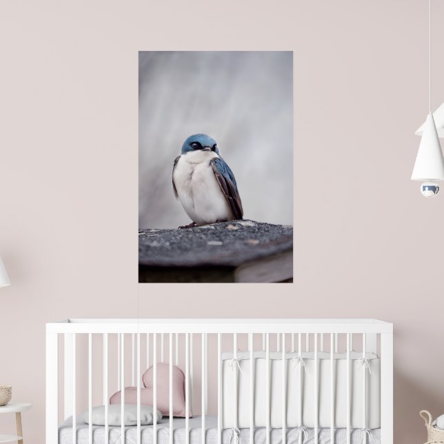 Blå Fågel Poster (Barnkammare 2)