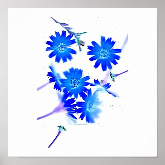 Blå färgade blommor av vild med spridd design poster (Framsidan)