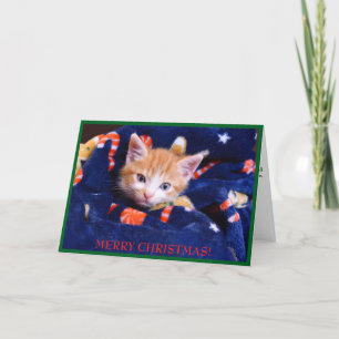 Blå filt katt God Jul Orange Kattunge Helgkort