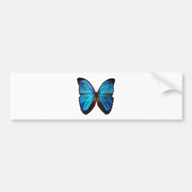Blå Fjäril Bildekal (Framsidan)