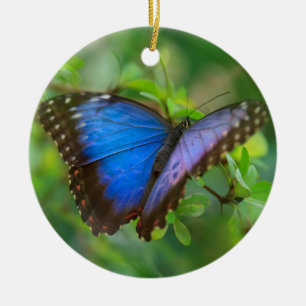 Blå fjäril Ceramic Ornament
