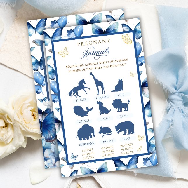 Blå Fjäril Guldaccent Dräktiga Djur (Skapare uppladdad)