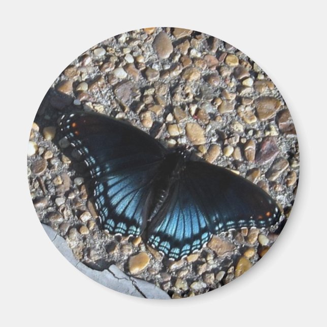 Blå Fjäril Magnet (Framsidan)