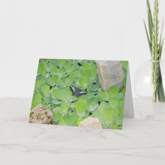 "Blå Fjäril" Påskkort Kort (Framsida)