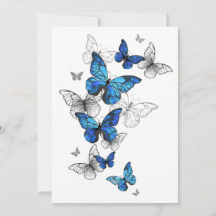 Blå Flygande Fjärilar Morpho Tack Kort