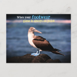 Blå fotgannett helg vykort