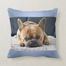 Blå Fransk Bulldog Cushion-kudde