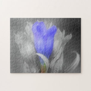 Blå Gentian-blomma i svart och vit natur Pussel