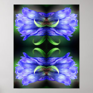 Blå Gentian Flower Abstrakt Art Poster