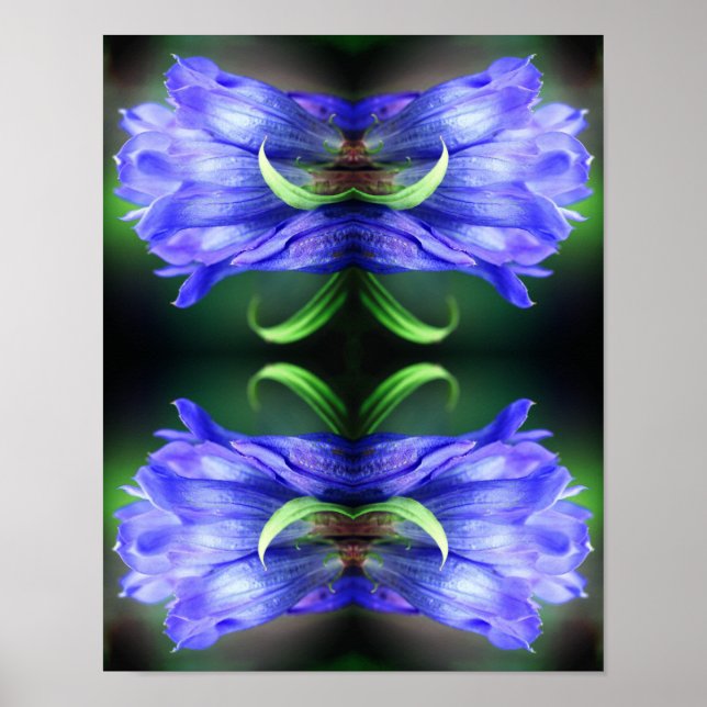 Blå Gentian Flower Abstrakt Art Poster (Framsidan)