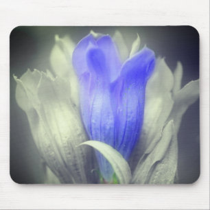 Blå Gentian Flower Black and White Musmatta