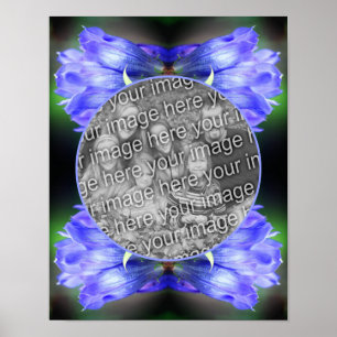 Blå Gentian Flower Ram Skapar ditt eget foto Poster