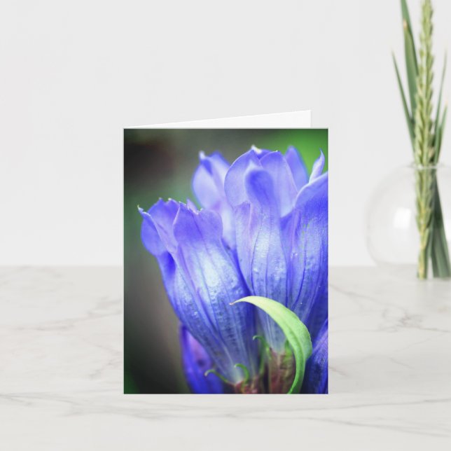 Blå Gentiana Blomfotografering  Anteckningskort (Framsida)
