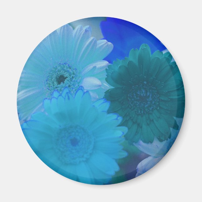 Blå Gerbera Daisy Flower Kylskåp, magnet (Framsidan)