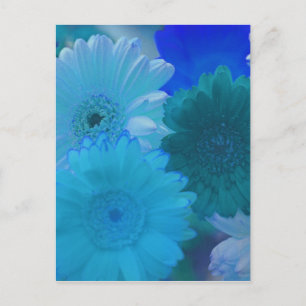 Blå Gerbera Daisy Flower Photo Art-vykort Vykort