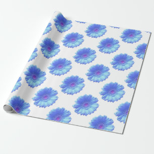 Blå gerbera-daisy presentpapper