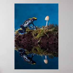 Blå giftkonst groda och svamp poster