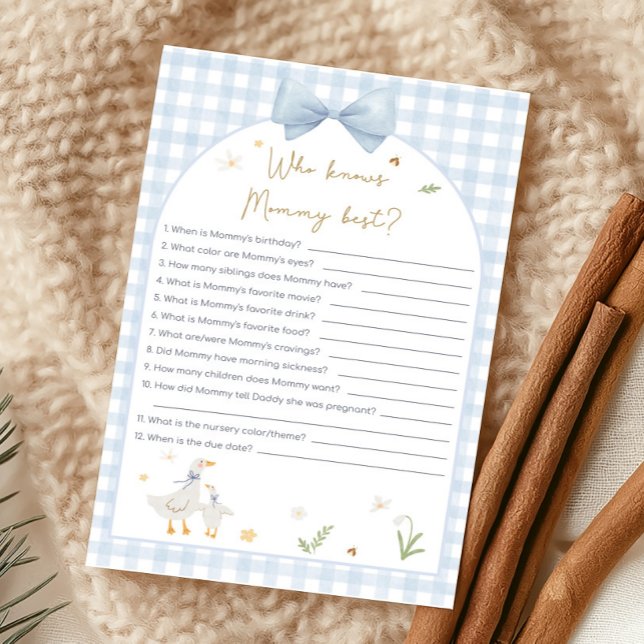 Blå Gingham Dumma Gås Dusch Vem Vet Spel (silly Goose Baby Shower Game)