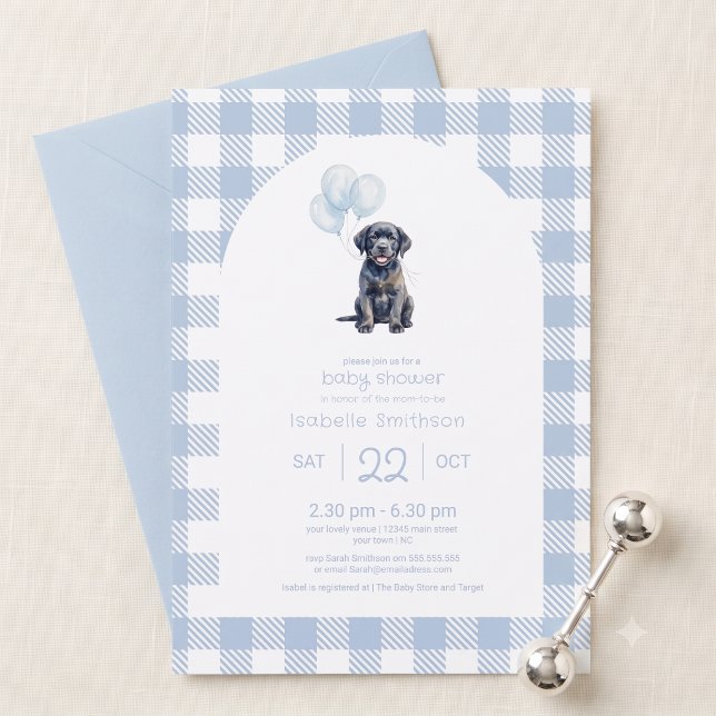 Blå Gingham Svart Labradugga Baby Shower  Inbjudningar (Skapare uppladdad)