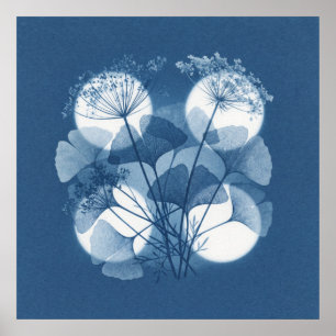 Blå Ginkgo Queen Anne Lace Moonlight Affisch