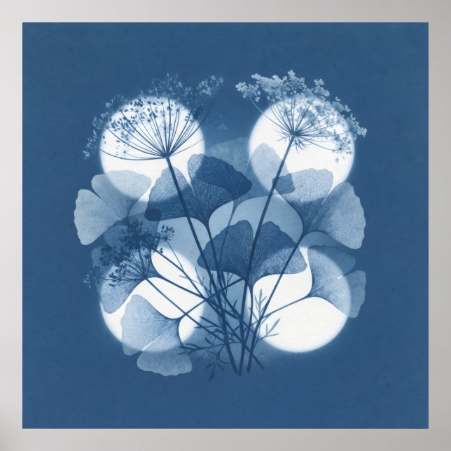 Blå Ginkgo Queen Anne Lace Moonlight Affisch (Framsidan)