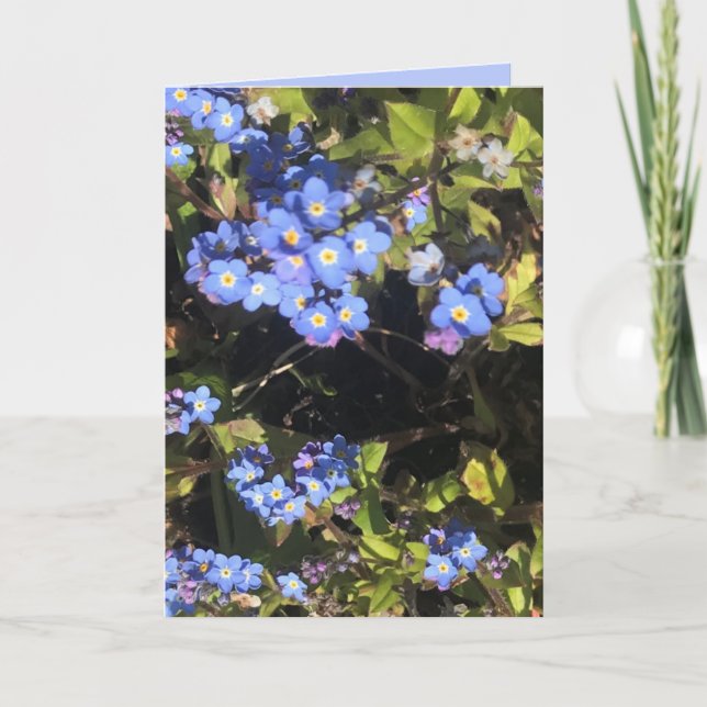 Blå glöm-me-not-blommor kort (Framsida)
