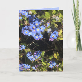 Blå glöm-me-not-blommor kort