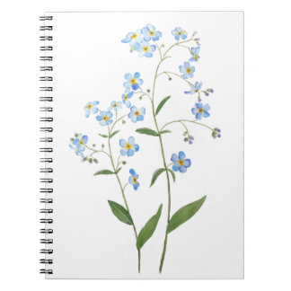 Blå glöm mig inte blommor 2021 vattenfärg anteckningsbok