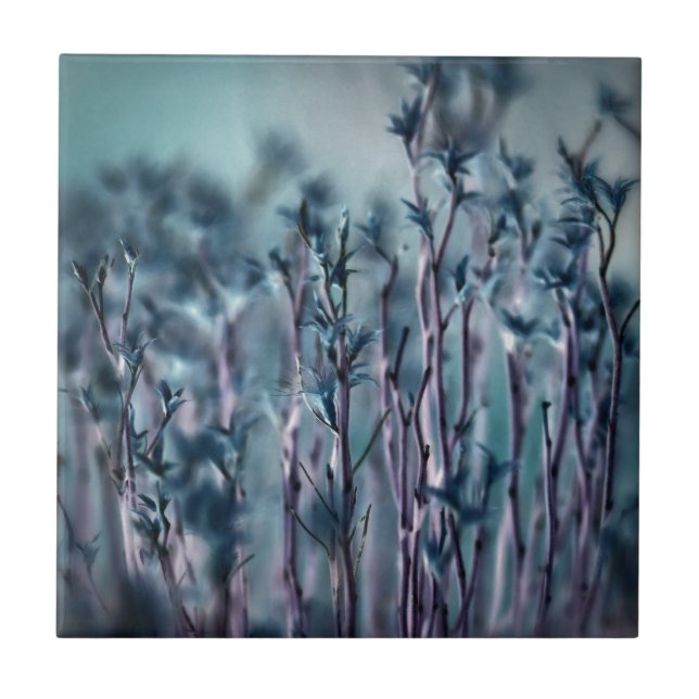 Blå gräs kakelplatta (Framsidan)