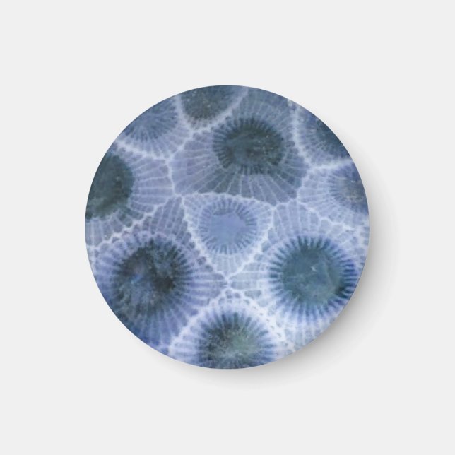 Blå Grått Petoskey Stone Magnet (Framsidan)